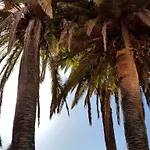 El Traspatio * Granadilla De Abona