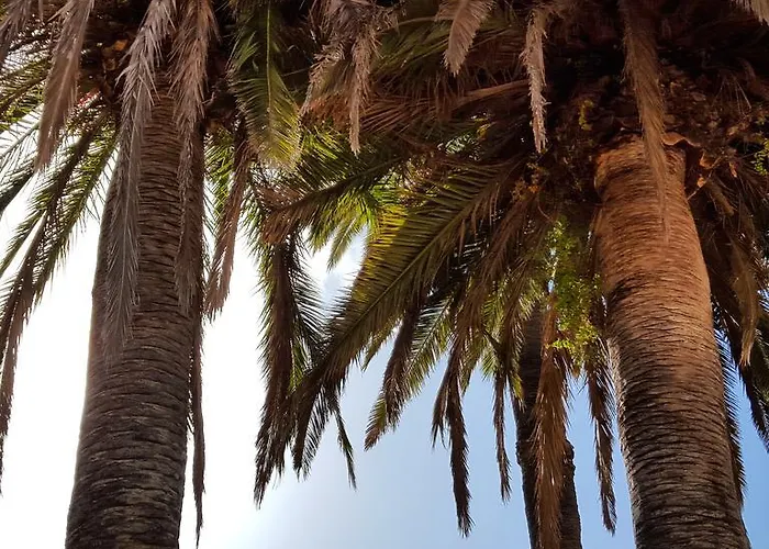 El Traspatio * Granadilla de Abona