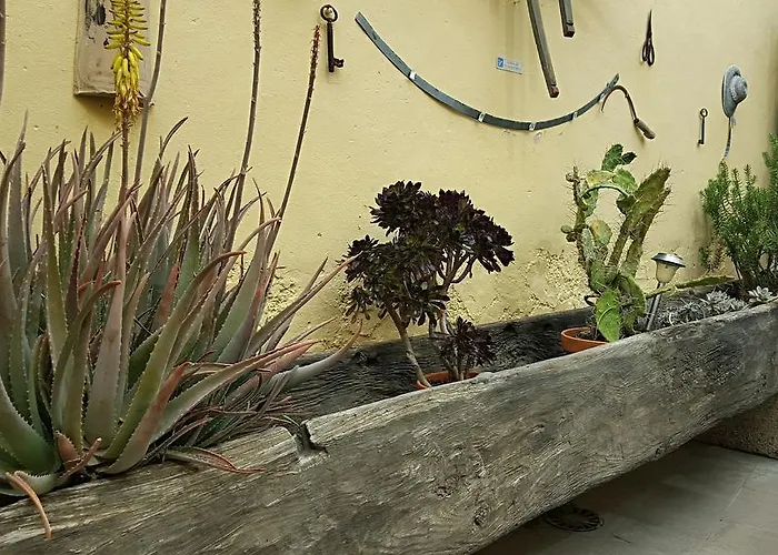 Hétvégi ház El Traspatio