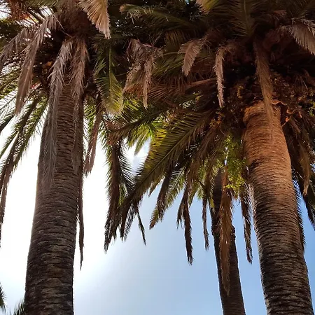 El Traspatio * Granadilla de Abona