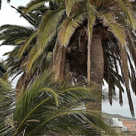 El Traspatio 乡村民宿 *