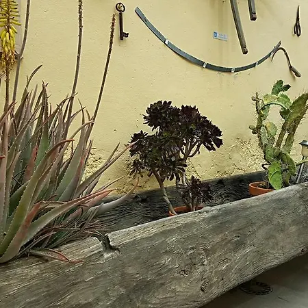 乡村民宿 El Traspatio